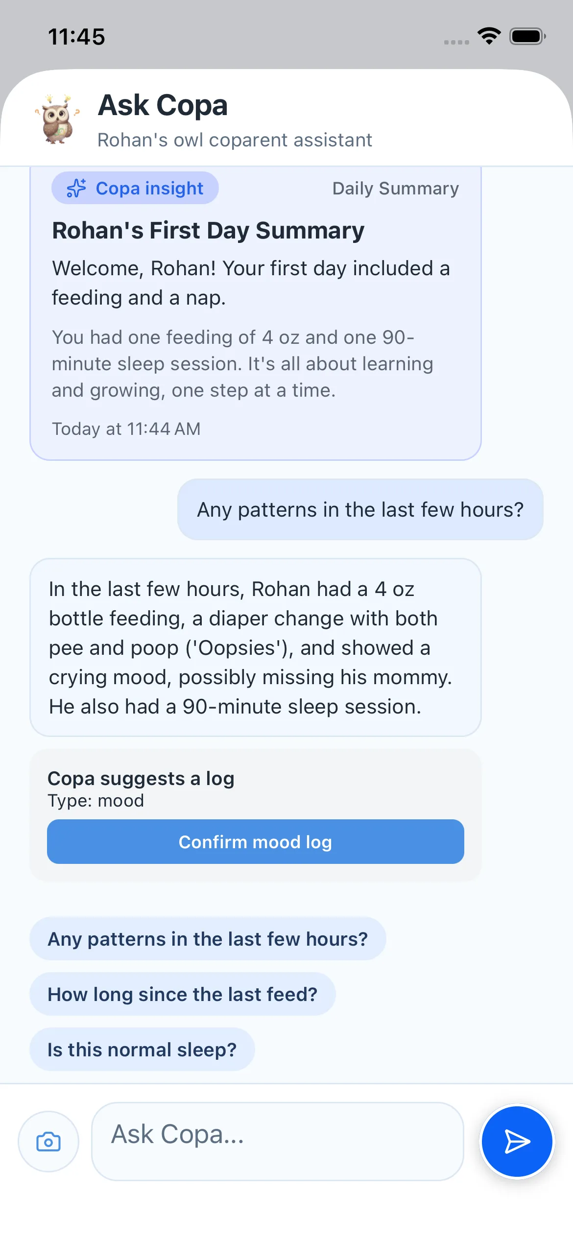 Copa chat interface showing Copa assistant guidance and caregiver messages